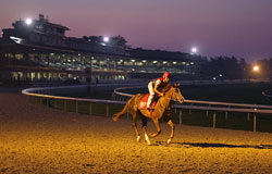 Keeneland
