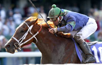 Keeneland Kat