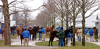 Keeneland January sale