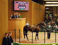 Keeneland sale