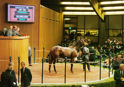 Keeneland Sale