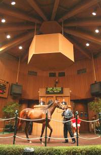 Keeneland sale