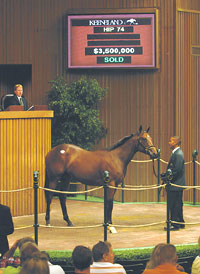 Keeneland sale