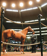 Keeneland Sale