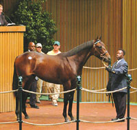 Keeneland Sale