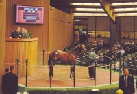 Keeneland sale