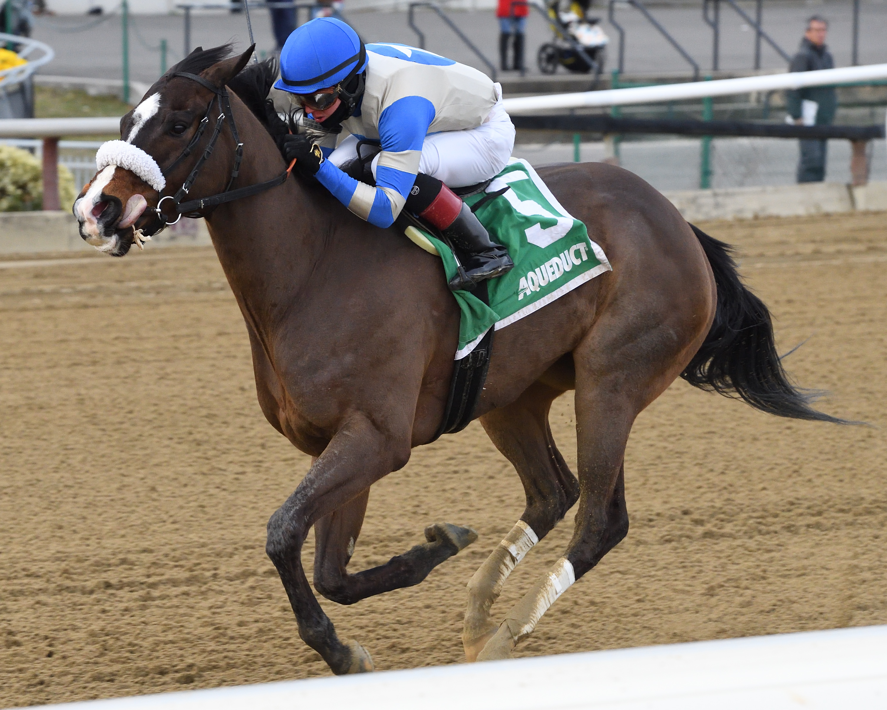 Kept True wins the 2020 Broadway Stakes