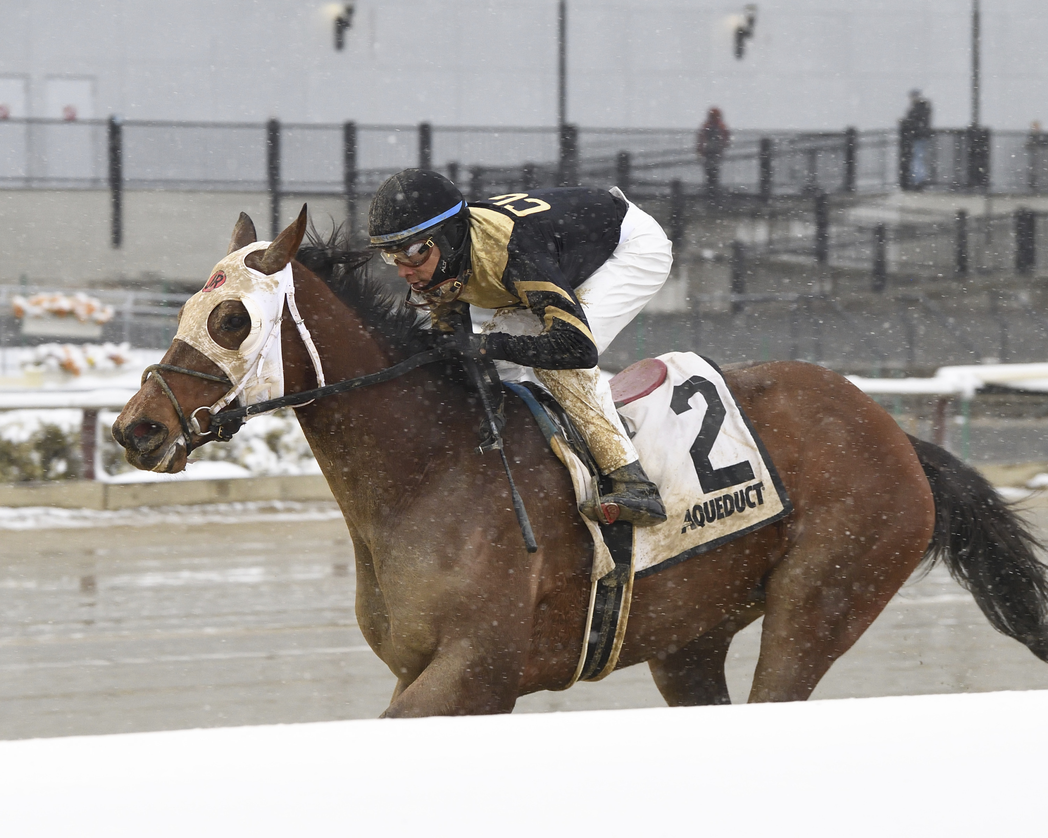 Kept Waiting wins Broadway Stakes 2-13-2022