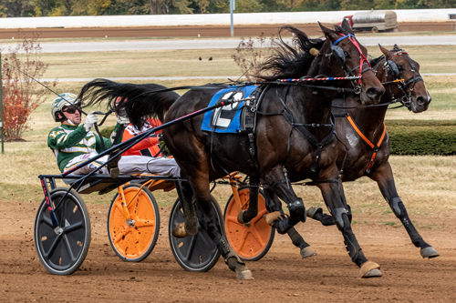Kildare King 10-25-22