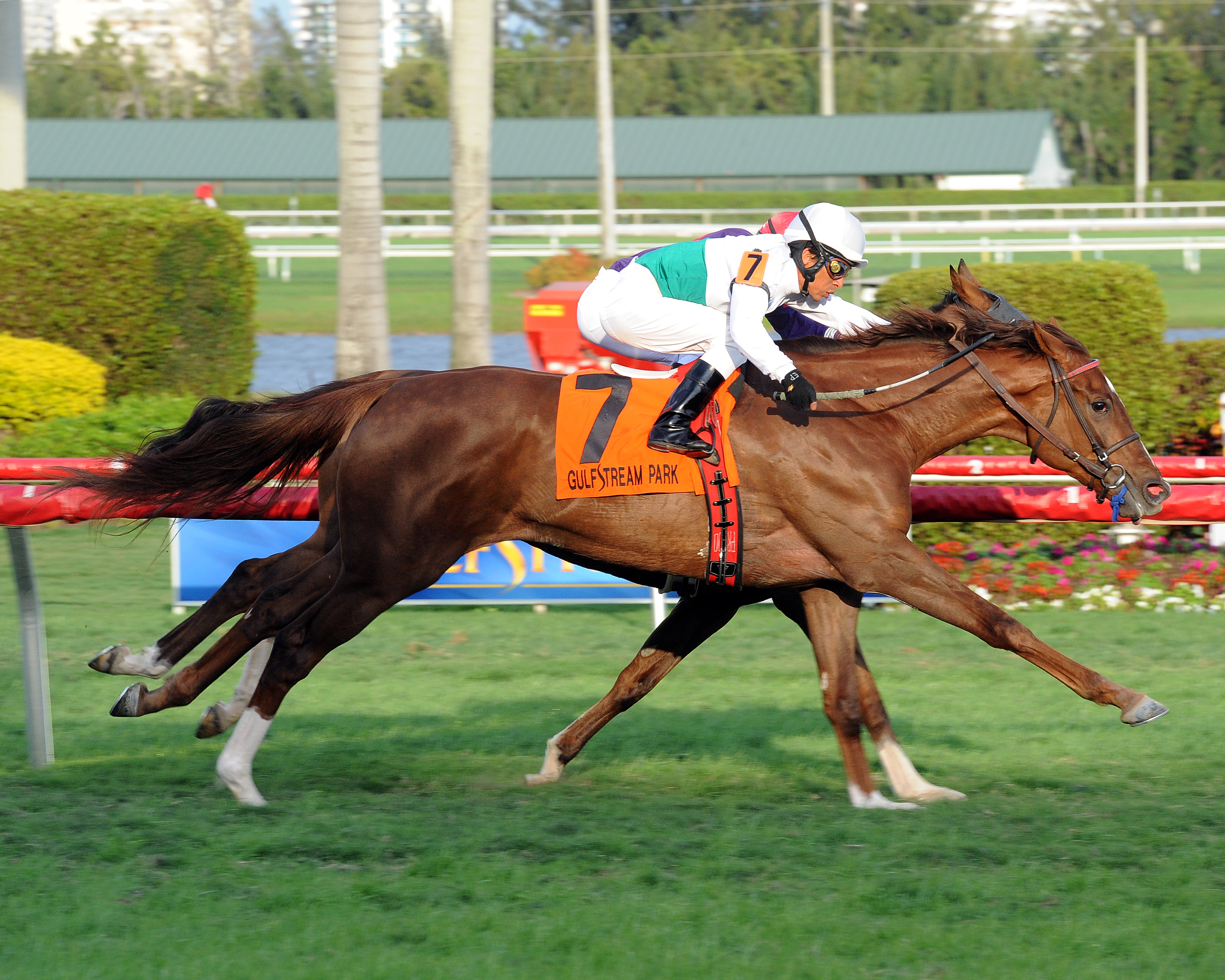 Kitten's Point/Herecomesthebride