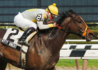 Kitty Knight