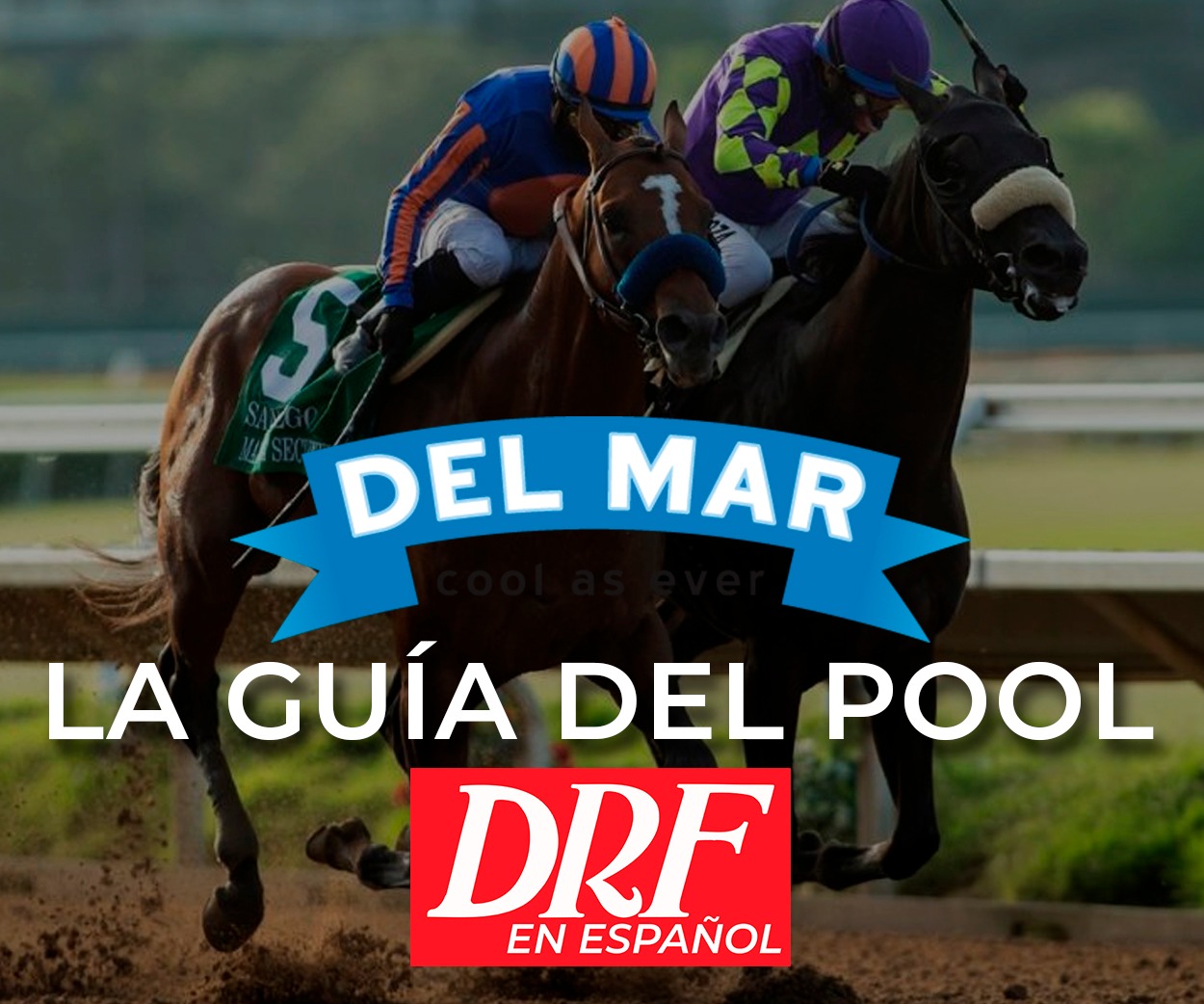 La Guía del Pool - Del Mar