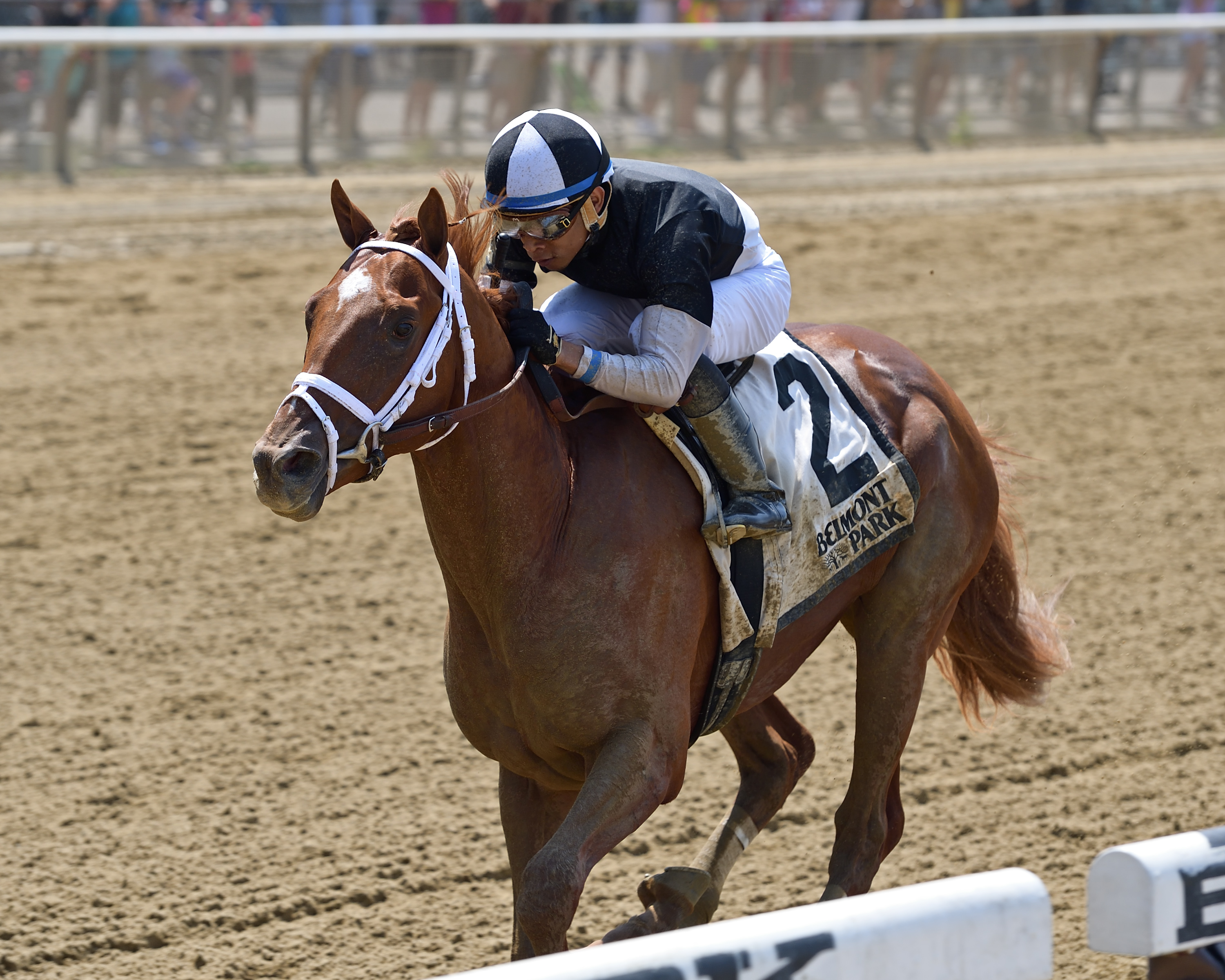 La Fuerza wins the 2018 Rockville Centre Stakes