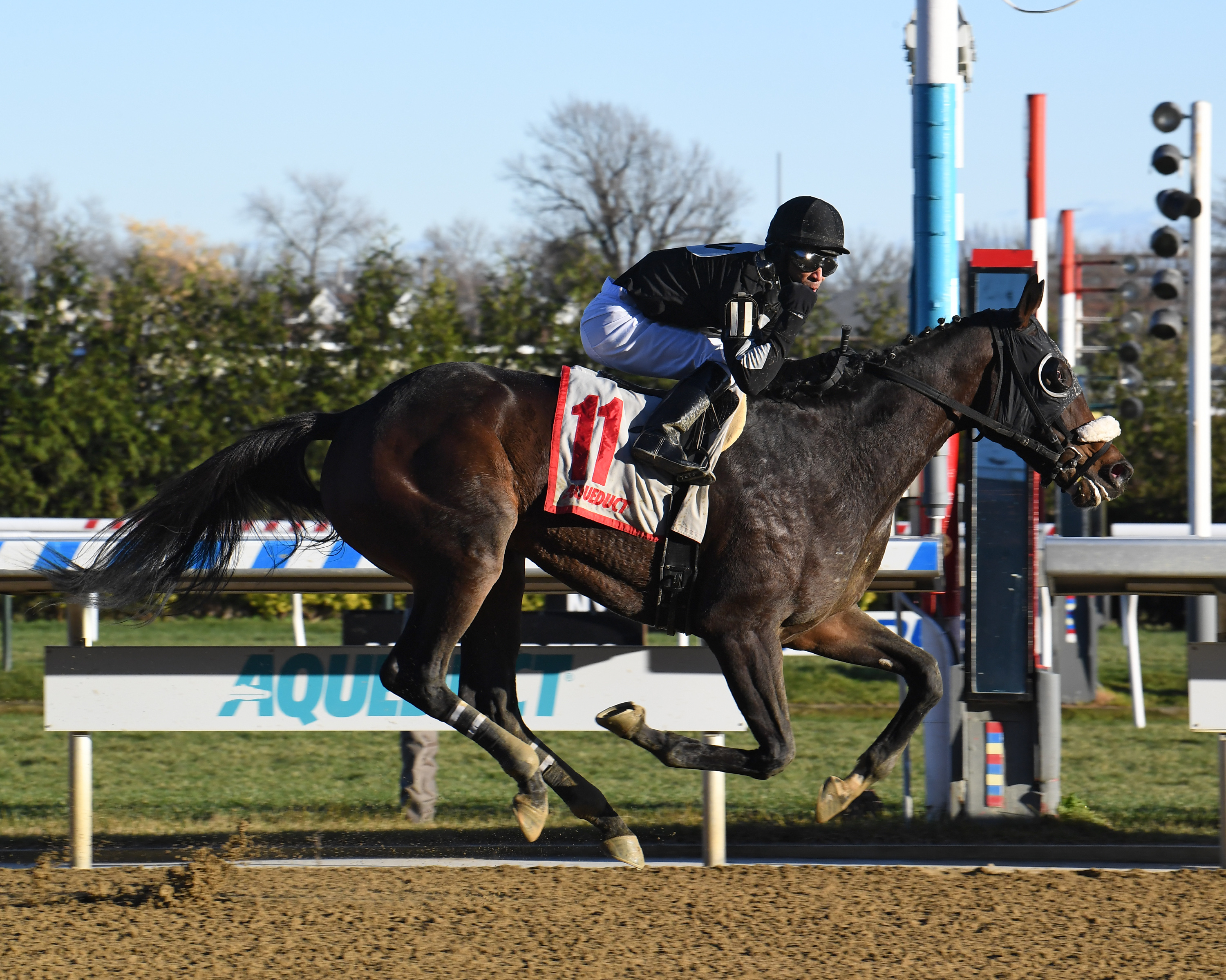Laobanonaprayer wins Fifth Avenue 12-6-2020