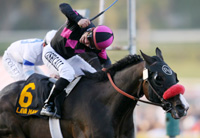 Lava Man