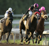 Lava Man