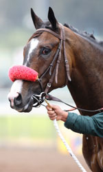 Lava Man