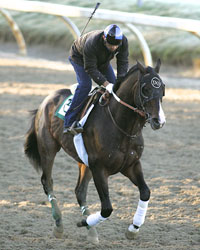 Lava Man