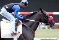 Lava Man