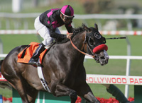 Lava Man