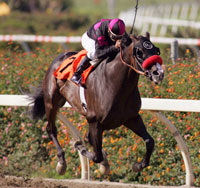 Lava Man