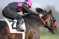 Lava Man