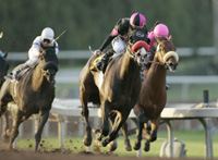 Lava Man