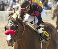 Lava Man
