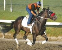 Lava Man