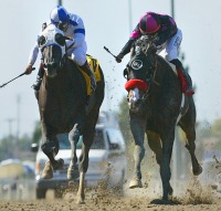 Lava Man