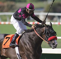 Lava Man
