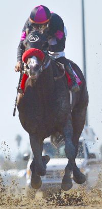 Lava Man
