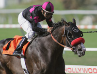 Lava Man