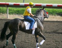 Lava Man