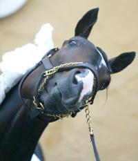 Lava Man