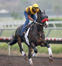 Lava Man