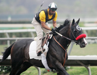Lava Man