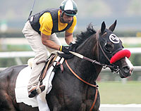Lava Man