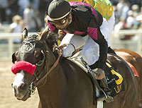 Lava Man