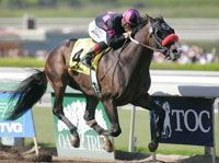 Lava Man