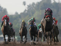 Lava Man