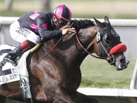 Lava Man