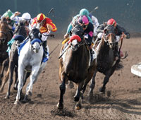 Lava Man