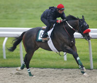 Lava Man
