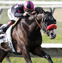 Lava Man