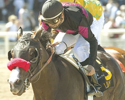 Lava Man