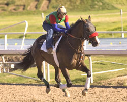 Lava Man