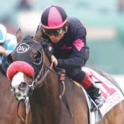 Lava Man