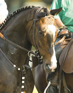 Lava Man