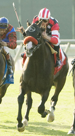 Lava Man